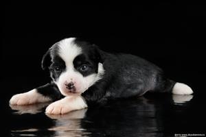 Photo #6